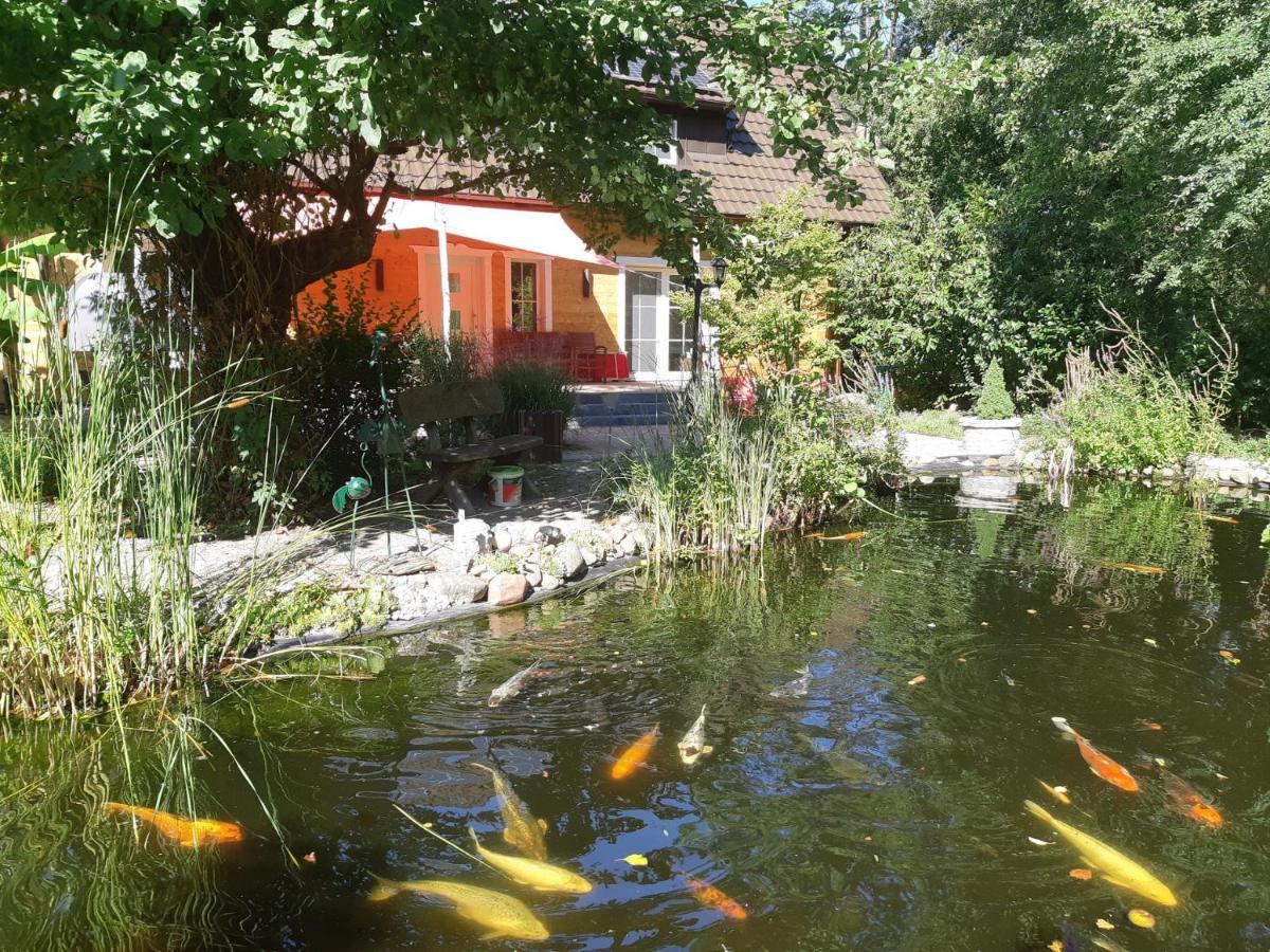 Salus Spreewald - Erholung & Natur - Kolonie  Exterior photo